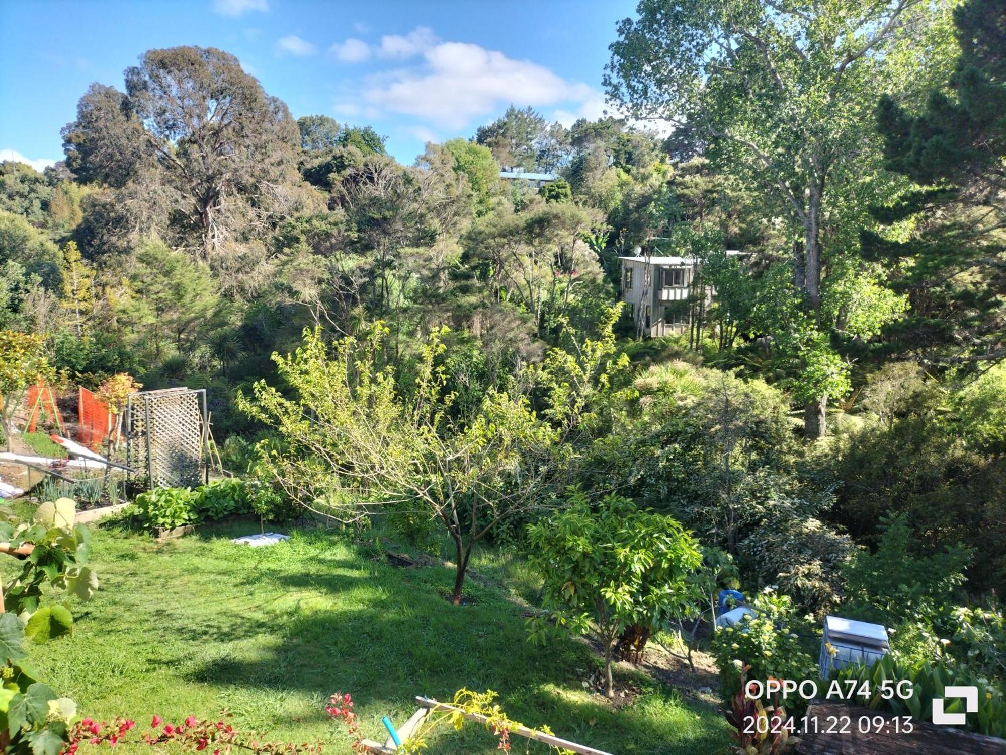 别墅中的一间客房 Auckland Exterior foto